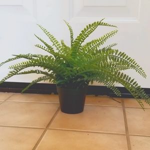 Artificial Plant | Small Fern